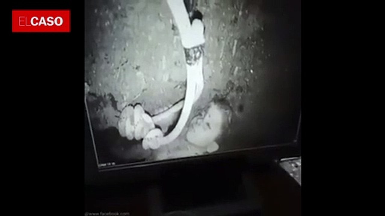 Rescate a contrarreloj del niño Rayan, el Julen marroquí que lleva días atrapado a 32 metros de profundidad