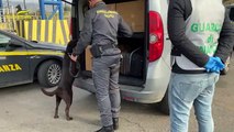 Civitavecchia, sequestrati 60 kg di droga provenienti dalla Sardegna