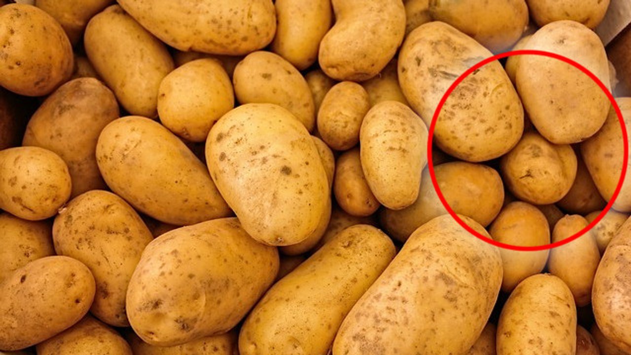 Echirolles : cette femme trouve une grenade dan...