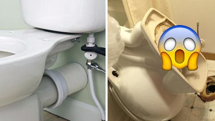 Un gigantesque rat mort est retrouvé bloqué dans les toilettes de cet hôtel