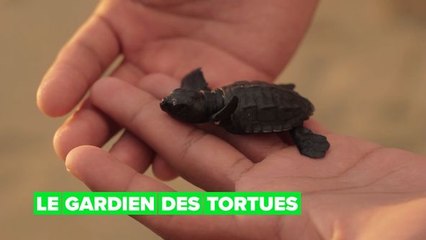 Tortues : il lutte contre le trafic d'espèces sauvages