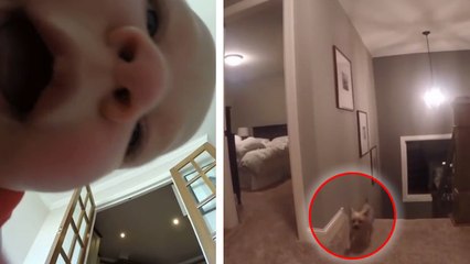 Ces parents installent une caméra sur la tête de leur enfant de 2 ans : voilà ce qu'ils découvrent