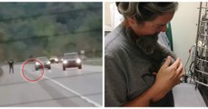 Il jette son chaton depuis sa voiture sur l'autoroute... Mais un homme au grand coeur le sauve de justesse