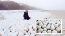 Golfe de l'Ob : d'étranges boules de neige géantes envahissent la plage