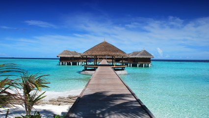 Pour une raison bien précise, de plus en plus d'hôtels sont "enfants non admis"