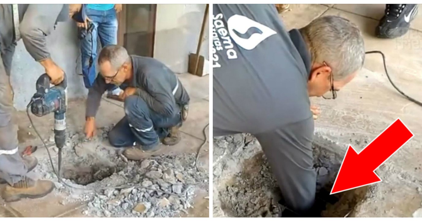4 chatons coincés sous une terrasse ont été sau...