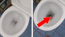 Cet homme tire la chasse d'eau de ses toilettes et découvre un horrible rat vivant