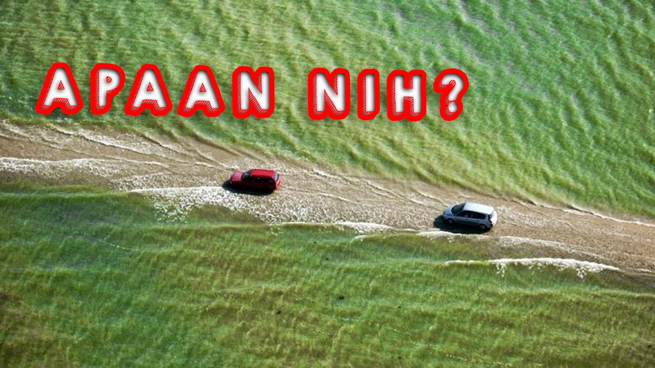 JALANAN DI DUNIA YANG PALING EKSTRIM 2021!