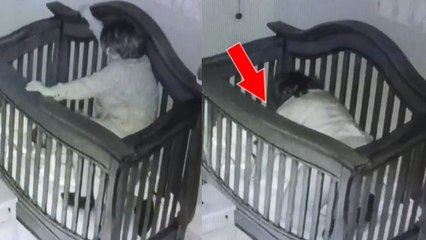 Vidéo de surveillance : une grand-mère tombe dans le berceau de sa petite-fille