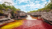 Cano Cristales (Colombie) : surnommée 'la rivière aux 5 couleurs', elle change d'aspect pour une raison particulière