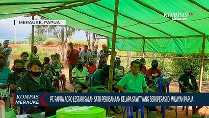 PT. Papua Agro Lestari (PAL), Salah Satu Perusahaan Kelapa Sawit yang Beroperasi di Wilayah Papua