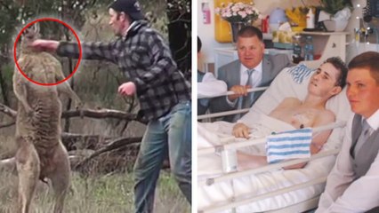 Australie : cet homme qui frappe un kangourou cache en fait une histoire tragique