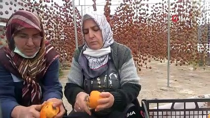 Kuruyunca fiyatı 20 misli artıyor