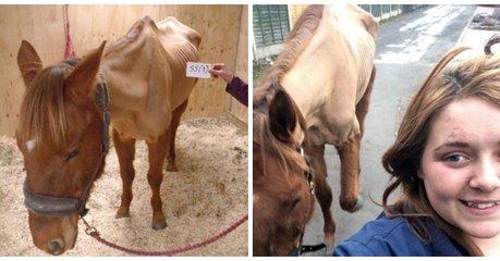 A cause de cette photo, elle a désormais l'interdiction de posséder un cheval. Vous ne voyez rien ?