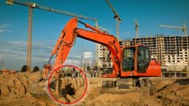 Turquie : en plein travaux, ces ouvriers découvrent un ours immense dans le trou qu'ils sont en train de creuser