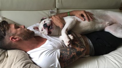 Michigan : il se bat pour garder son chien et touche la Toile !  (Vidéo)