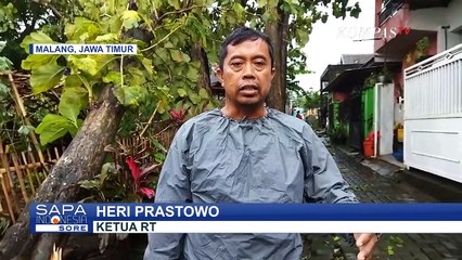 6 Pohon Tumbang Akibat Dahsyatnya Guyuran Hujan Es dan Angin Kencang di Kota Malang