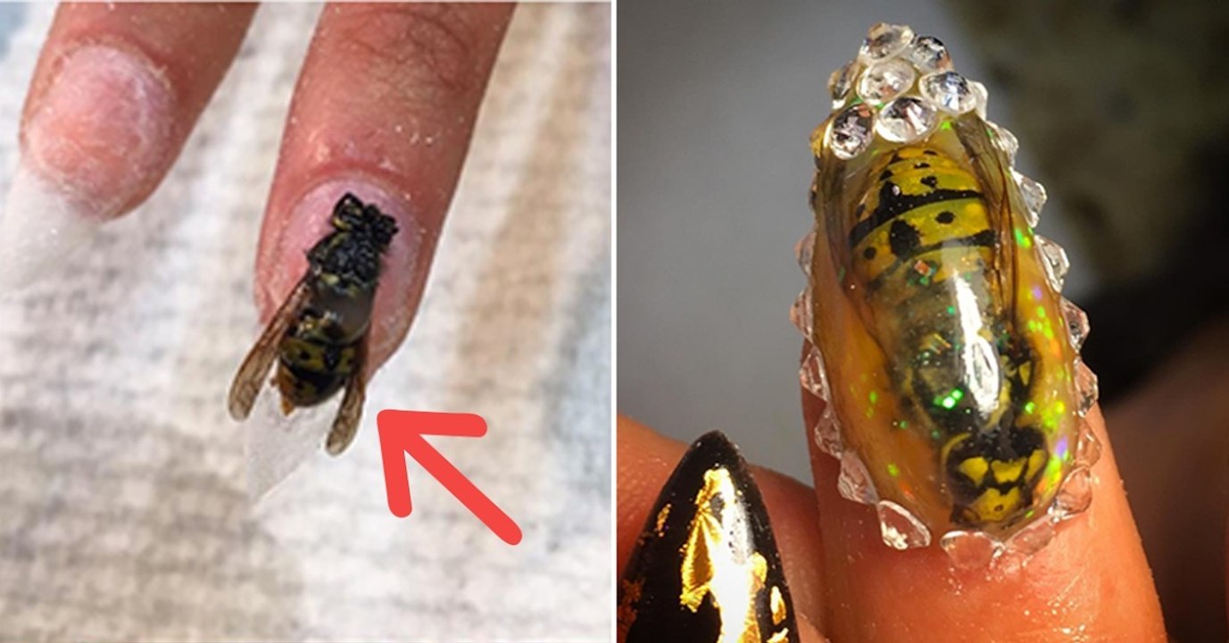 Manucure : Nicole Casti réalise des manucures avec de véritables insectes morts