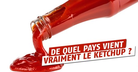 De quel pays est originaire le Ketchup ?