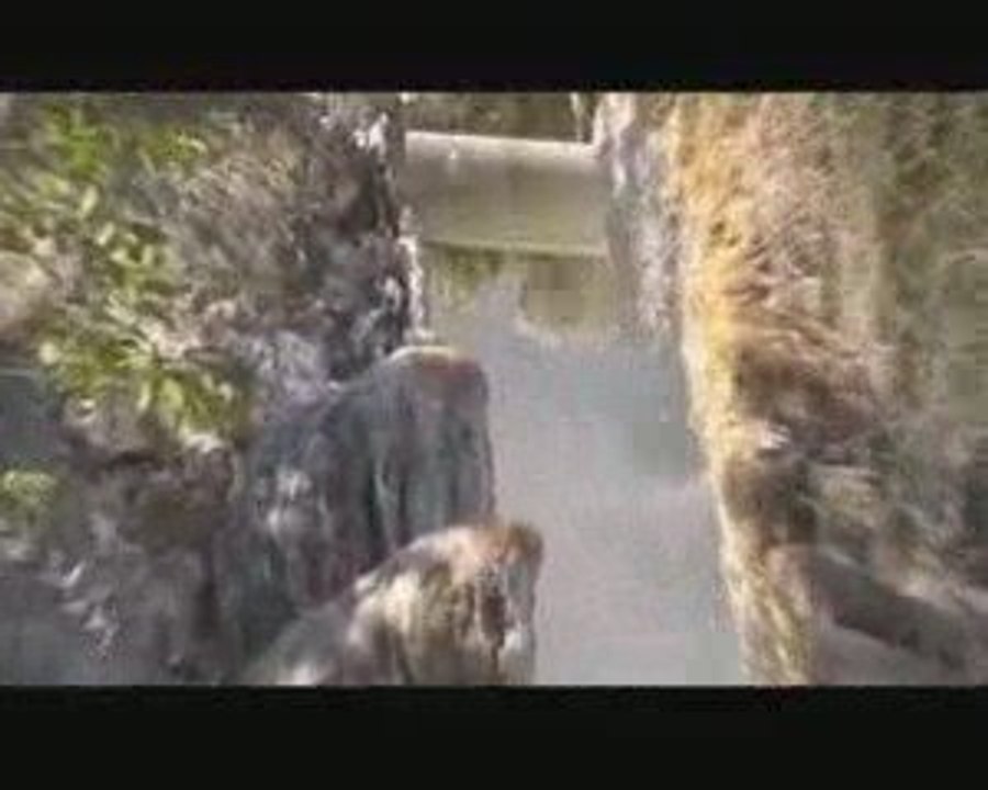 BAGNI SAN FILLIPO SIENA TOSCANA ITALIA