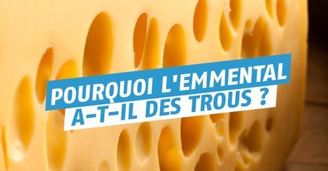 Le mystère des trous dans le fromage enfin révélé !