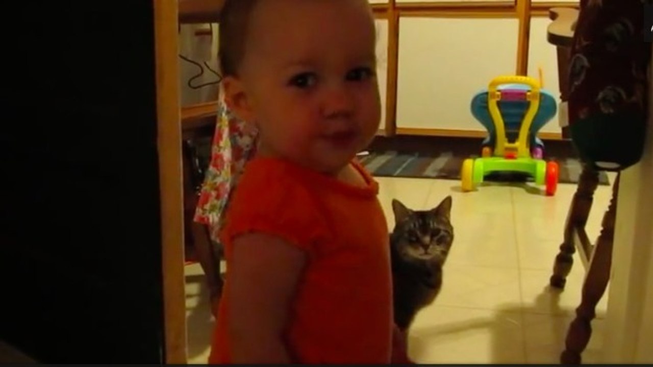 Cette petite fille parle à son chat, et ce dernier lui répond de vive voix ! Vidéo Dailymotion