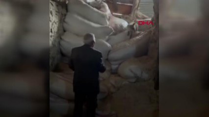 ÇİFTÇİ, KIŞ BİTENE KADAR TİLKİYE BAKACAK