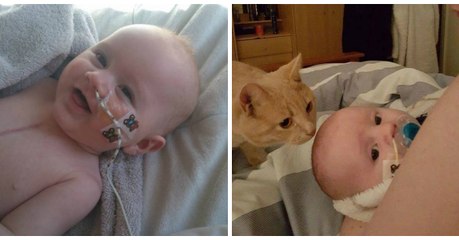Ce chat est devenu le protecteur d'un bébé atteint de malformation cardiaque