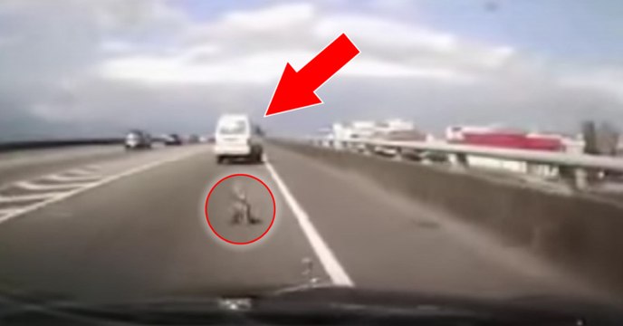 Un homme se débarrasse de son chien en le jetant de sa voiture sur l'autoroute!