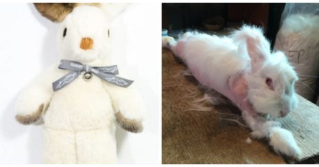 Histoire de bêtes: la marque française réalise ses peluches avec de la vraie fourrure et fait scandale !