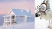 Laponie : toutes les bonnes raisons pour visiter la plus belle région du nord de l'Europe
