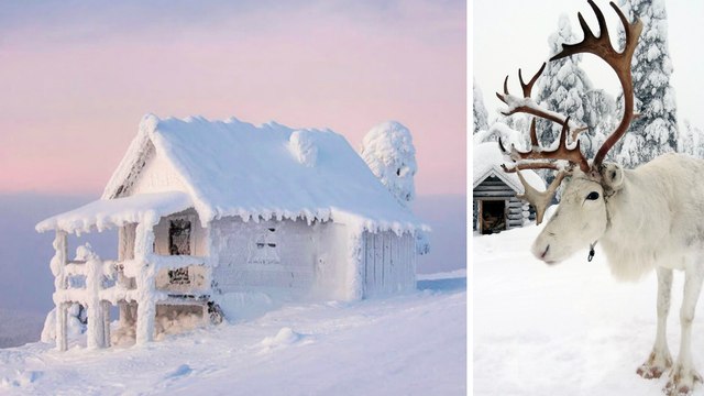 Laponie : toutes les bonnes raisons pour visiter la plus belle région du nord de l'Europe