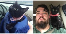 Ce chaton s'est accroché à son sauveur pour être adopté !