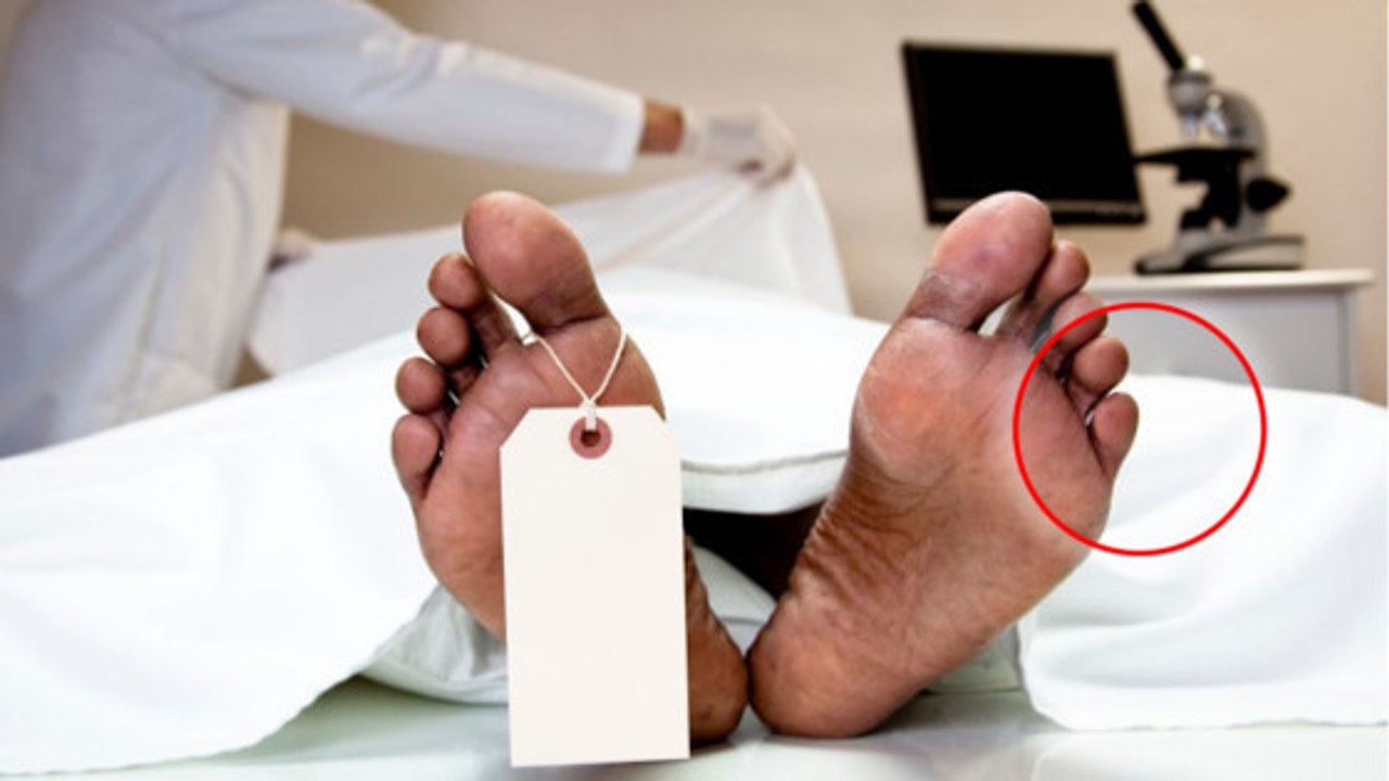 Pologne : il se réveille à la morgue après avoir bu trop de vodka