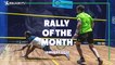 Squash: Rally of the Month - January 2022