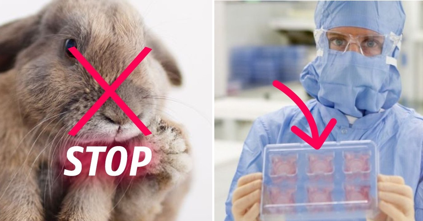 Maquillage : voici comment font les marques vegan pour tester leurs produits de beauté