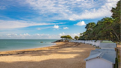 Découvrir Noirmoutier