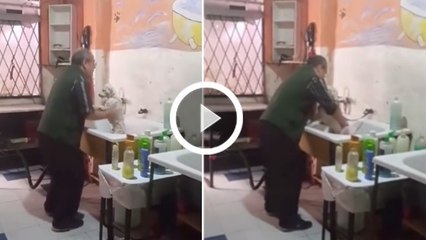 Animaux : un toiletteur danse avec un petit chien