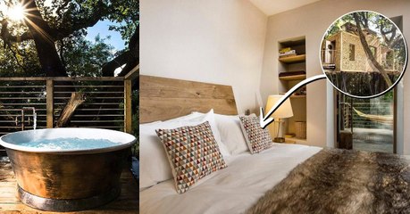 Maison dans les arbres : une construction super luxueuse à Holditch, Royaume-Uni