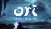 Ori and the Will of the Wisps (Xbox One, PC, Switch) : date de sortie, trailers, news et gameplay du jeu de plateformes