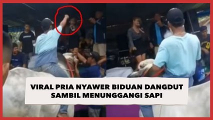 Viral Pria Nyawer Biduan Dangdut Sambil Menunggangi Sapi, Endingnya Bikin Ngakak