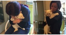 Une femme fond en larmes en retrouvant son chat perdu depuis 2 ans