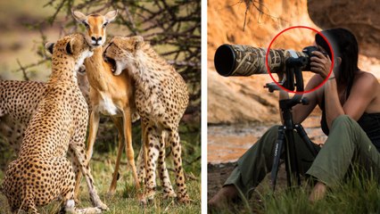 Alison Buttigieg : la photographe raconte la vraie histoire cachée derrière son cliché devenu viral