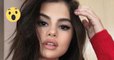 Selena Gomez : une photo de ses cheveux retouchés scandalise ses fans