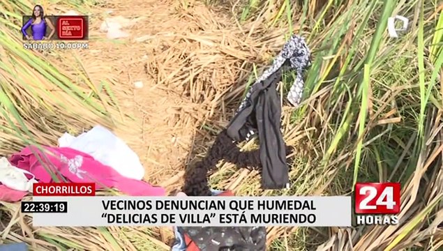 Chorrillos: Pantanos de Villa se encuentran en abandono, según vecinos