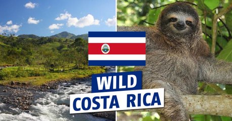 Costa Rica : partez à la découverte du côté sauvage du pays avec sa biodiversité exceptionnelle