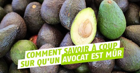 Voici enfin une technique pour savoir quand un avocat est mûr !