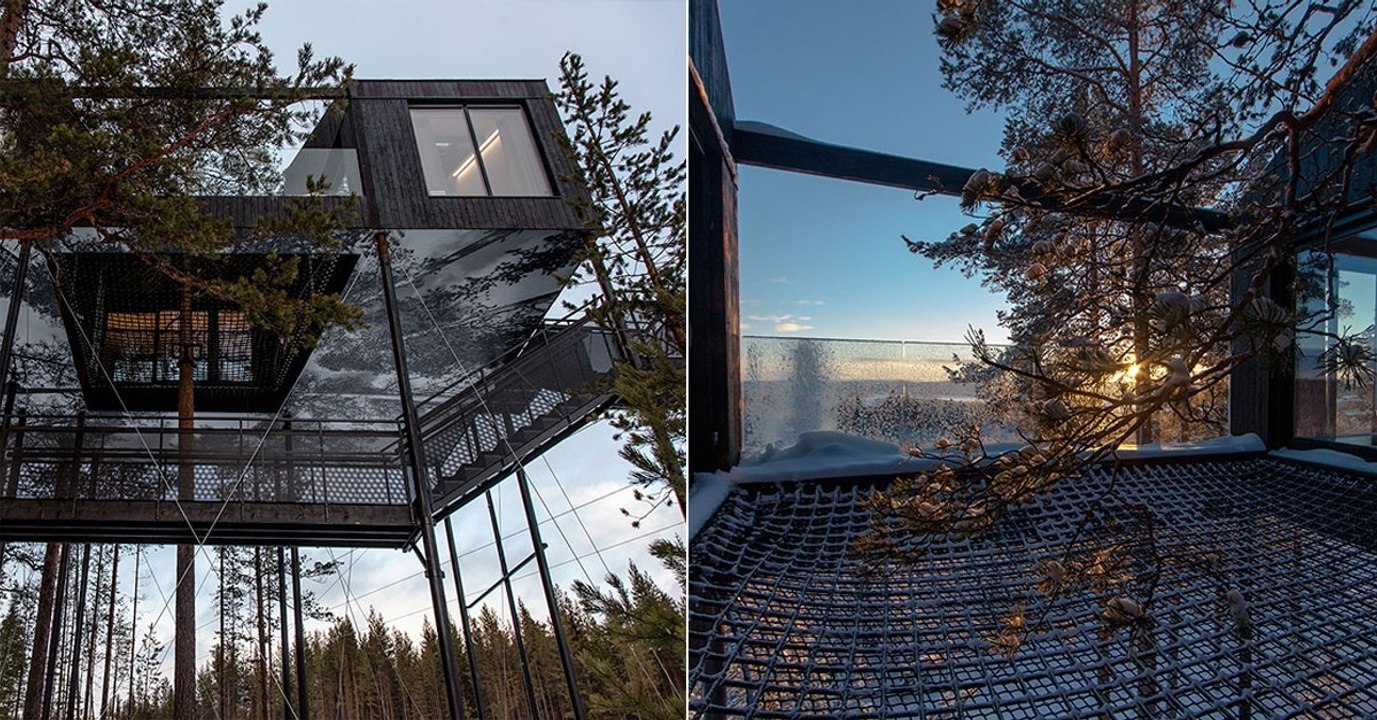 The 7th room : cet hôtel dans les arbres va en faire rêver plus d'un