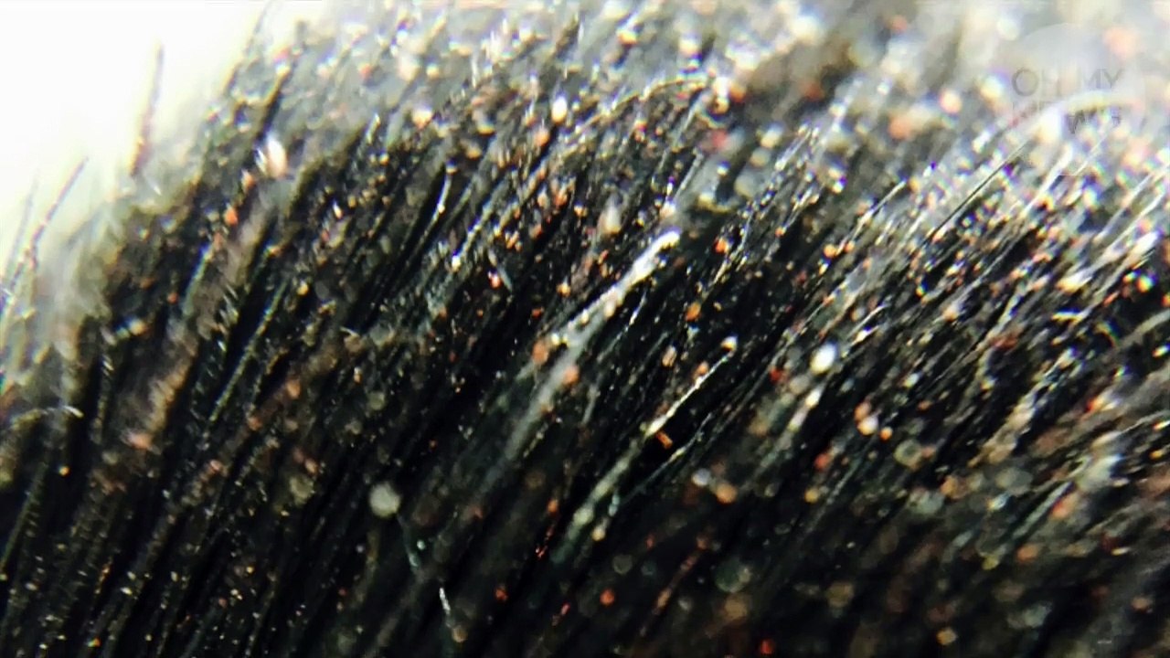 Beauté : nettoyer ses pinceaux est important, la preuve en images