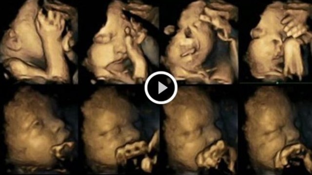 Voici ce que vit réellement un fœtus lorsque la mère fume pendant sa grossesse...